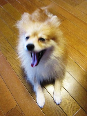 ライバル