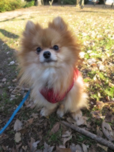 2020(R2)-12-22 סζ (20)