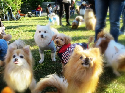 2015(H27)-10-25 第2回卒オフ (230)