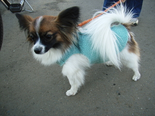 ファニーちゃん