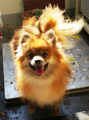 2ÆüÌܤÎÄ« (28)