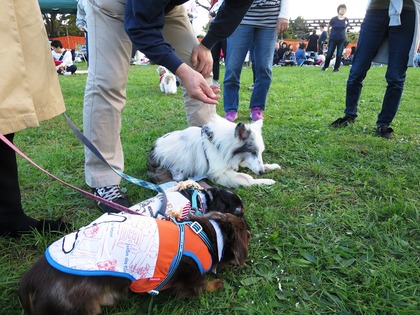 2017-11-3 第4回卒オフ会 (156)