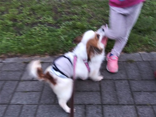 2021(R3)-5-4 ��̱�����ѥ��ˤ� (6)