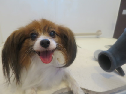 2014(H26)-7-17 �����ס� (14)