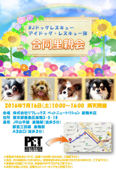 Τ�Ʋ���饷0716