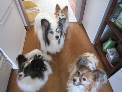 ī���Ϥ� (4)