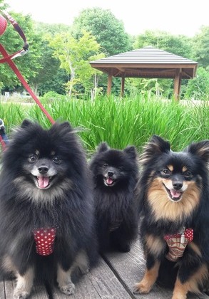 2018(H30)-5-29 ȥ饤7 01