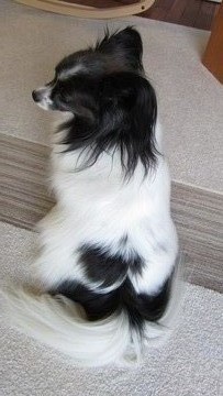 2013_0504_170605-IMG_2595