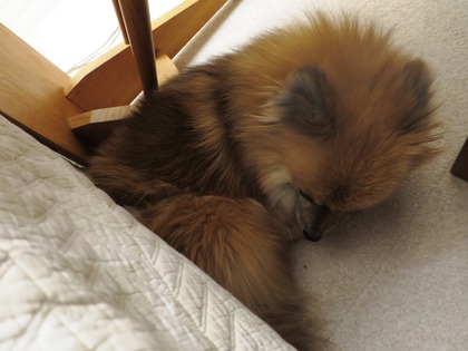 2019(H31)-2-9 傍に居たいの (5)