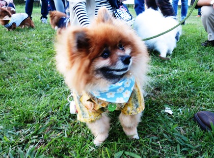 2017-11-3 卒オフ会 (45)