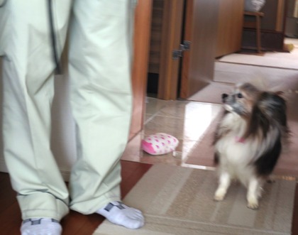 2019(R1)-5-11 ָư (1)