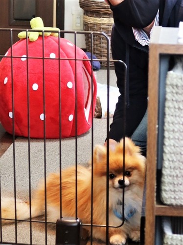 2021(R3)-4-4 åԡȥ饤 (35)