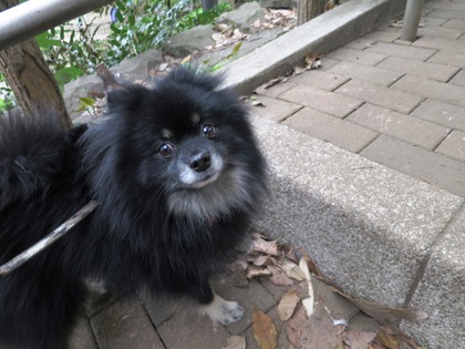 2018(H30)-4-7 ī����Ȥ��θ�Υޥå��� (3)