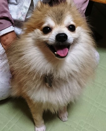 2017(H29)-10-6 �ȥ饤����13����