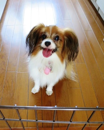 2014−9−21勝手に閉じ込められました (7)