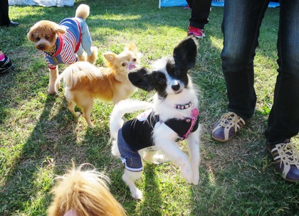 2015(H27)-10-25 第2回卒オフ (223)