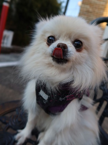 2021(R3)-1-21 ��ͳ���� ��������� (2)