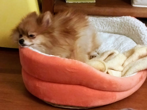 2021(R3)-1-20 �ߥ����ο���� (4)