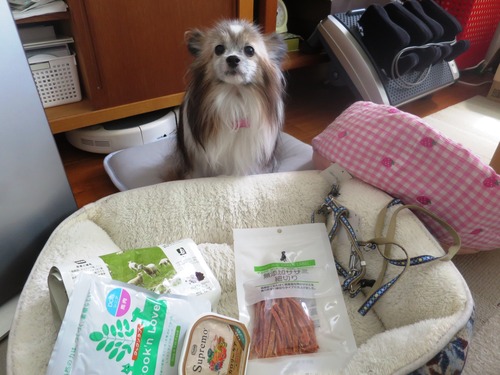 テオの巣立ちの日 (3)