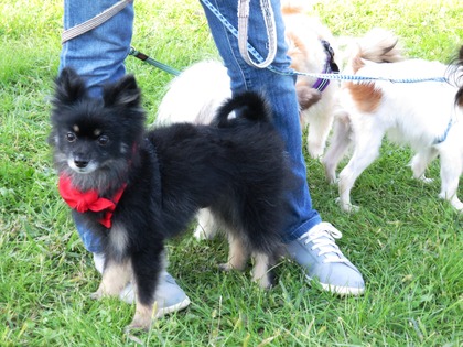 2017-11-3 卒オフ会 (20)