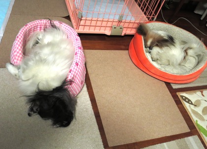 2018(H30)-4-22 �Ϥ߽Ф��� (4)