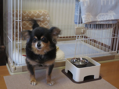 2020(R2)-11-9 ǥȥ饤볫 (3)