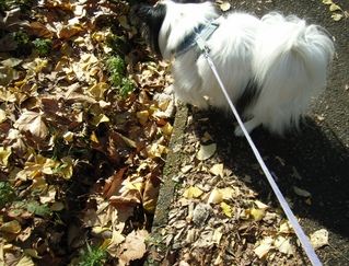 ����ޤ��� 02