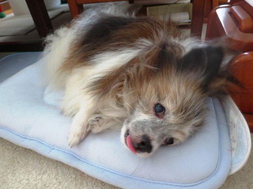 2019(R1)-8-31 Ǽ纮ѥԥ (24)