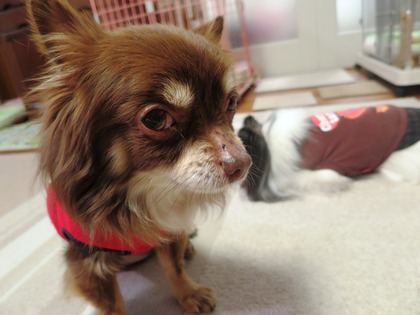 2015-2-17 ���ȤǴŤä���û� (1)