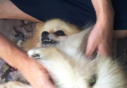 170731 トライアル13日目 02