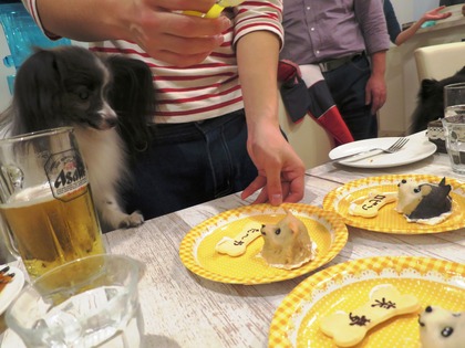 2014(H26)-11-23 ロビン18歳誕生会 (102)