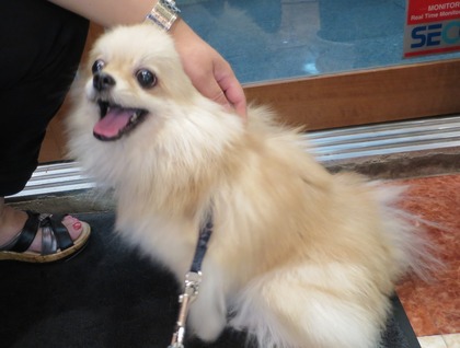 2016(H28)-9-26 ���顢���襤���� (5)