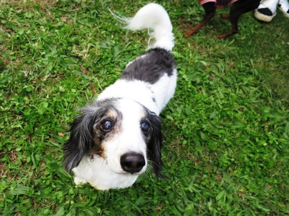 2017-11-3 卒オフ会 (53)