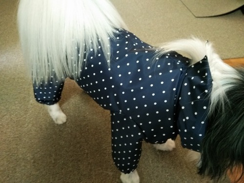 2020(R2)-9-9 ¥Þ¥Þ¼êºî¤ê¥ì¥¤¥ó¥³¡¼¥È