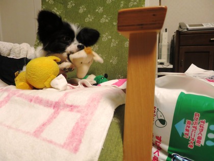 2015(H27)-10-25 卒オフ会後の晩に (3)