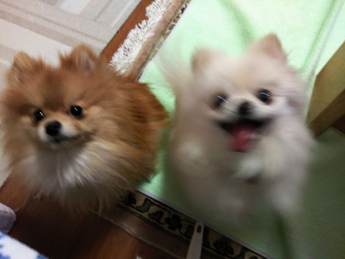 2021(R3)-1-28 ����3ǯ������� (8)