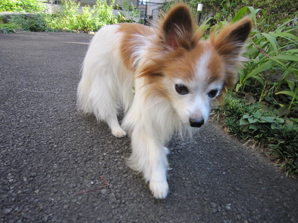 ī�����α�ư (7)