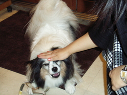 �����ҡ�������