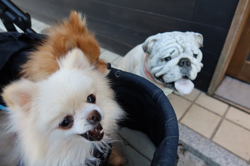 2021(R3)-1-14 ������Ȱ��� (7)