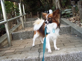 探しているの 3