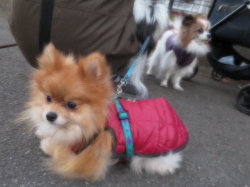 2020(R2)-12-20 Τ (8)