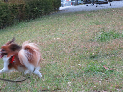 2014(H26)-10-9 かっぱさんと (6)