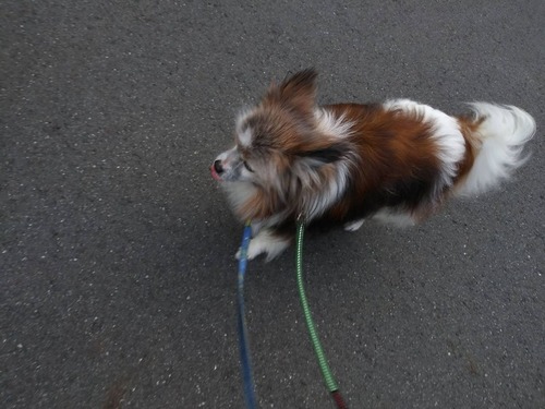 2019(R1)-8-7 �ϥ�Υ��륯�뻶�� (3)