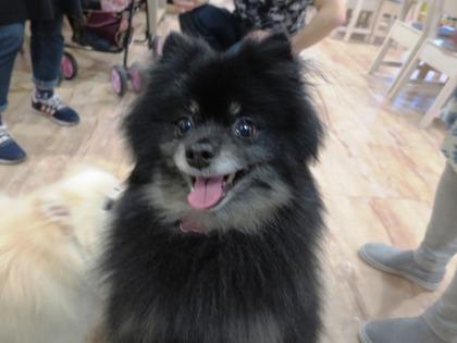 2018(H30)-5-2 åפ礤(L Pin,z) (13)