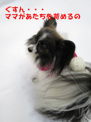 BlogPaint