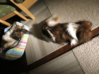 2014−9−21 肌寒い夜に (3)