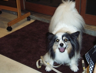 ���á��������Ρ�