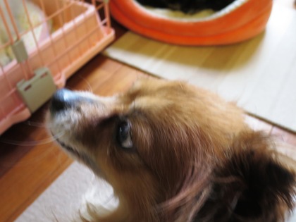 2018(H30)-4-7 ī����Ȥ��θ�Υޥå��� (9)