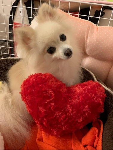 2020(R2)-5-20 �ȥ饤����13���� (6)