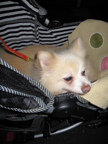 ��ͤ���ϡ���